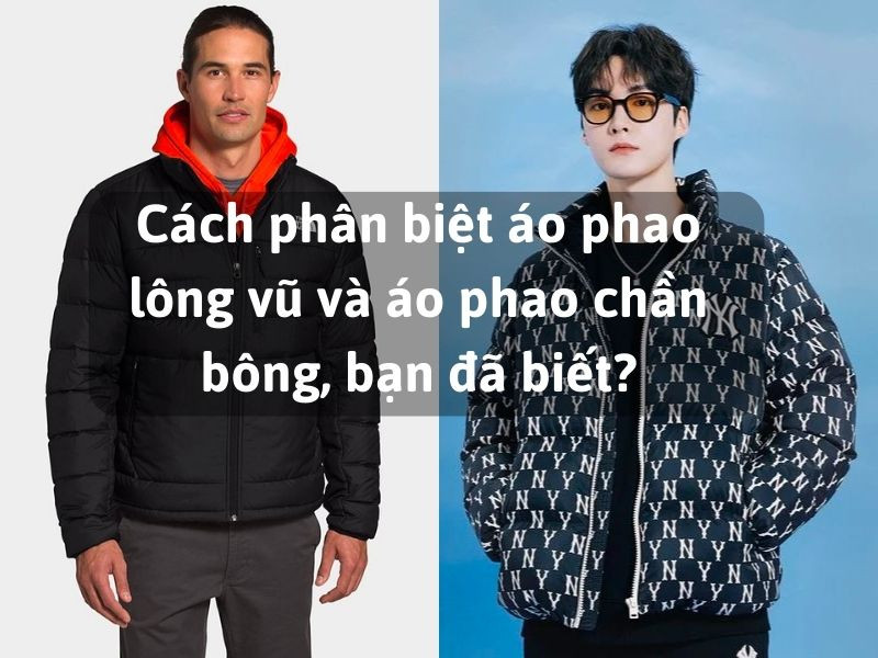 So sánh áo phao lông vũ và áo phao chần bông