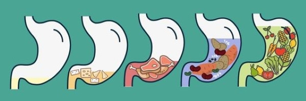Kiểm soát cân nặng bằng cách tính lượng calo nạp vào