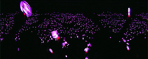 lightstick concert