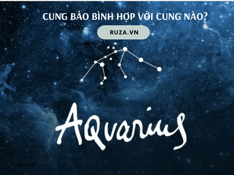 Cung Bảo Bình hợp với cung nào?