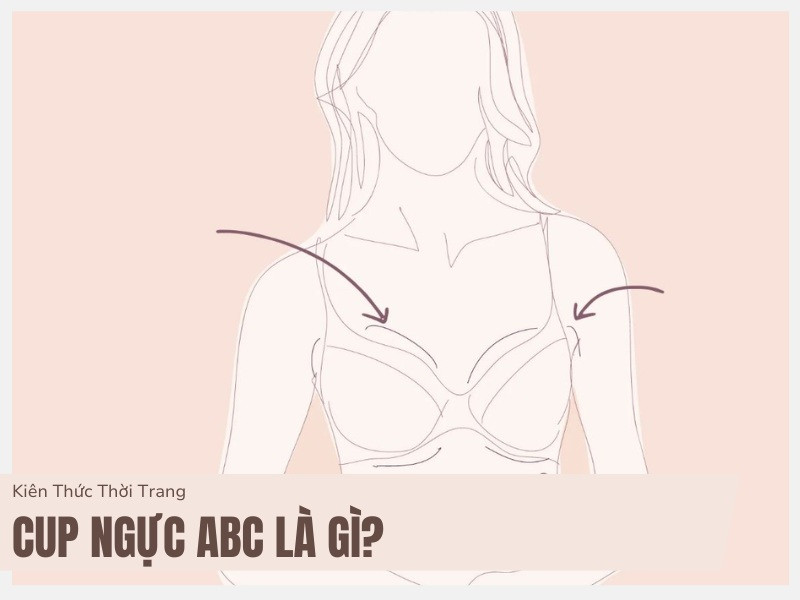 Cup ngực ABC – Khám Phá Bí Ẩn và Cách Chọn Size Chuẩn Nhất