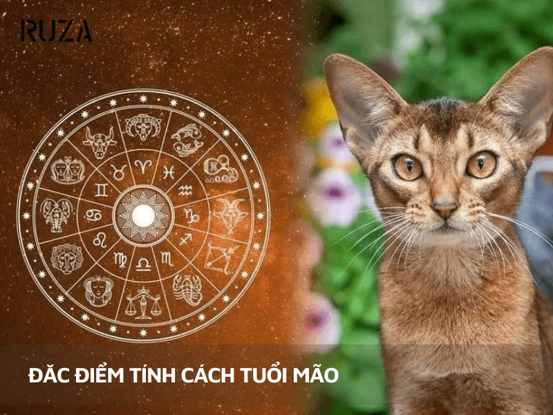 Xu Hướng Thời Trang 2025: Khám Phá Phong Cách Cho Người Tuổi Mão
