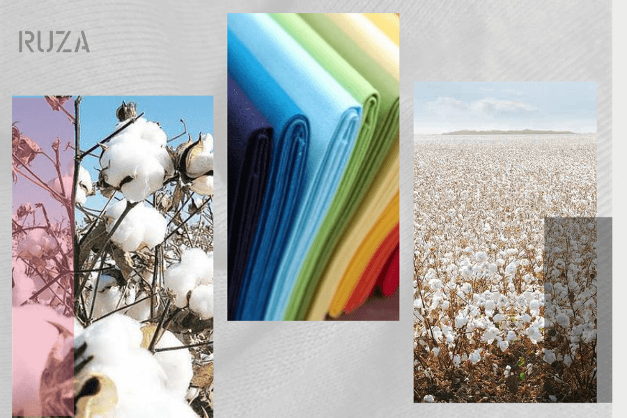 Nguồn gốc xuất xứ của vải cotton