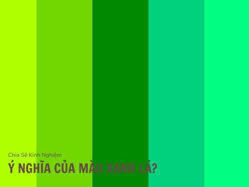 Ý nghĩa của màu xanh lá