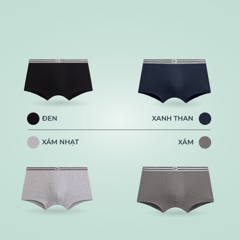Combo 3E Quần lót nam Cotton USA – êm ái tối đa, tuỳ chọn màu sắc