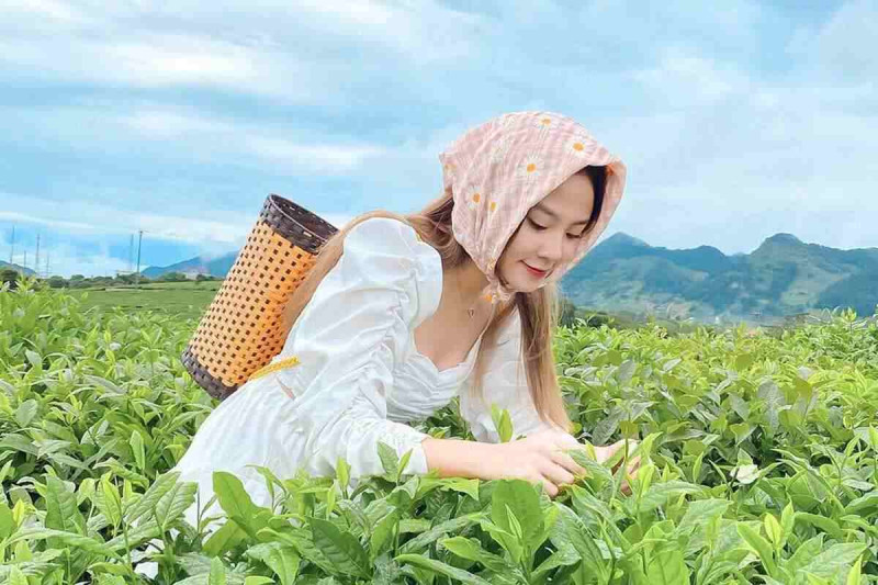 Đi Mộc Châu mặc gì đẹp? Top outfit đi Mộc Châu chill nhất 2025
