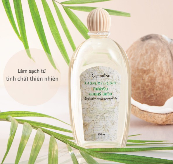 Nước giặt đồ lót loại nào tốt? Top 10+ hãng nước giặt tốt nhất