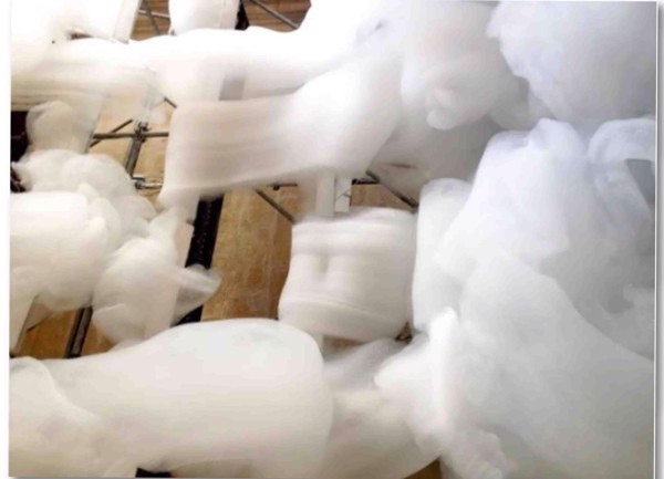 Vải Cotton USA là gì? Ưu nhược điểm và ứng dụng của Cotton Mỹ