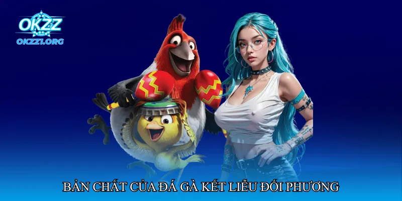 Đá gà kết liễu đối phương