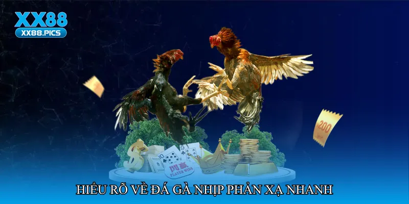 Đá gà nhịp phản xạ nhanh