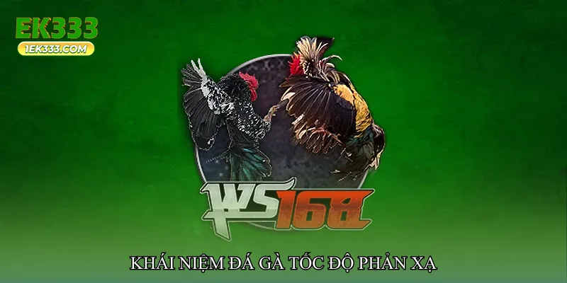 Đá gà tốc độ phản xạ